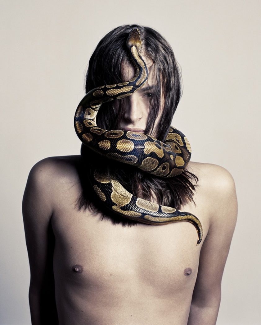 Snake n° 5 • Jean François Carly